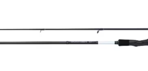 SHIMANO BASSTTERRA + SEABASS